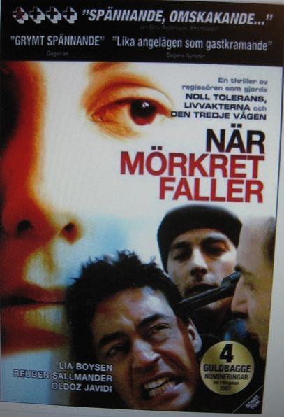 NÄR MÖRKRET FALLER