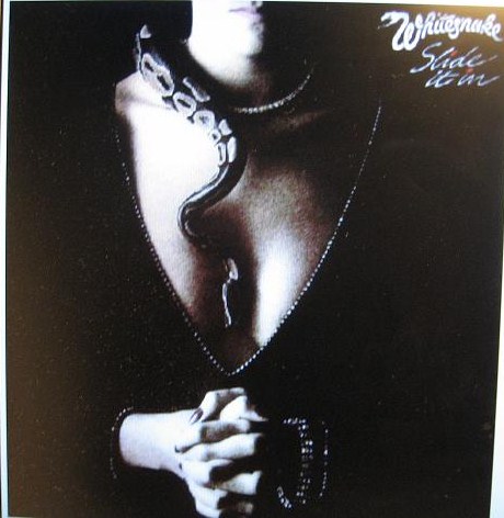 WHITESNAKE. Slid it in